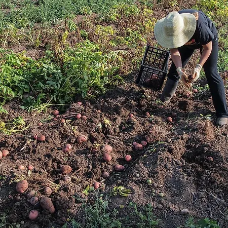 Apartamento Cr La Bohemia *