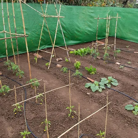 Cr La Bohemia Apartamento