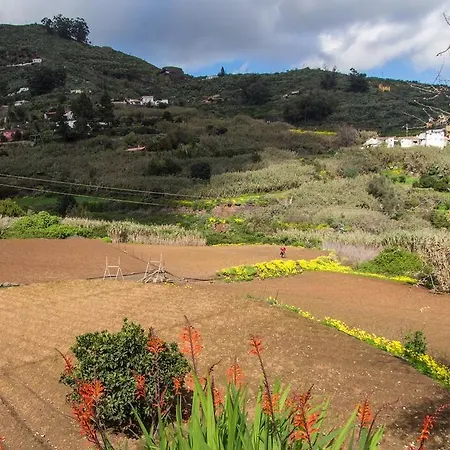 La Bohemia